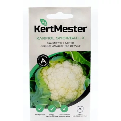 KERTMESTER "A" KARFIOL SNOWBALL