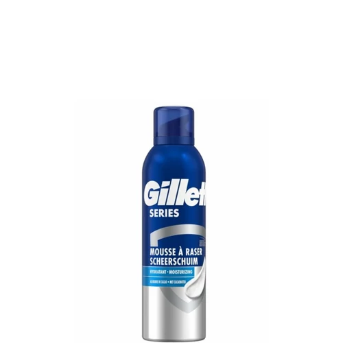 GILLETTE BOROTVAHAB 250ML SERIES